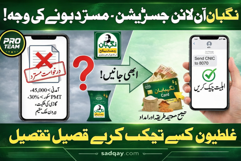 Fix Nigehban Online Registration Mistakes Before Rejection