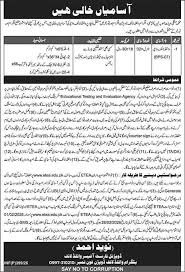 Wildlife Division Peshawar Jobs