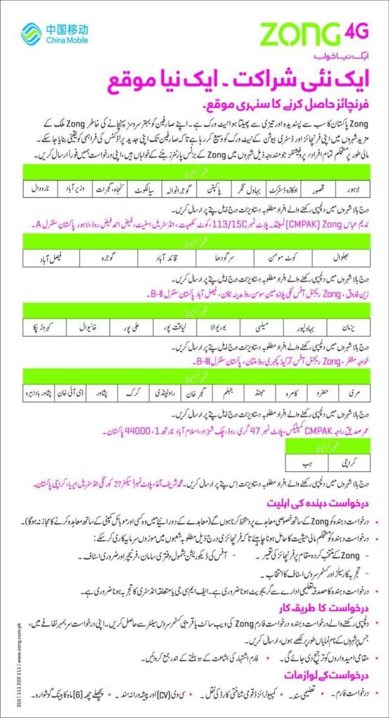 Zong Jobs