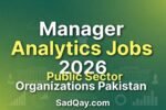 Public Sector Organization