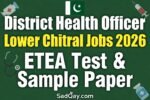District Health Officer
